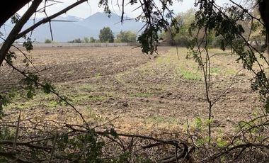 Terreno En Sector Urbano, Ideal Desarrollo Inmobiliario