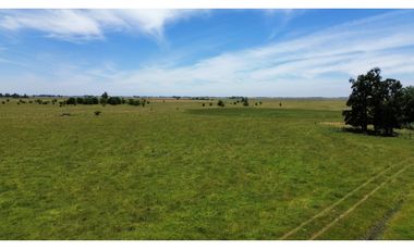 Campo en venta en Chascomus - Ranchos. 150 Has. ganaderas
