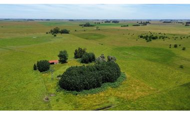 Campo en venta en Chascomus - Ranchos. 150 Has. ganaderas
