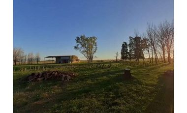 Campo en venta en Chascomus - Ranchos. 150 Has. ganaderas