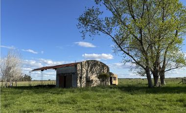 Campo en venta en Chascomus - Ranchos. 150 Has. ganaderas