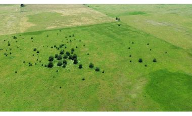 Campo en venta en Chascomus - Ranchos. 150 Has. ganaderas