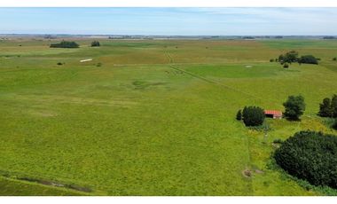 Campo en venta en Chascomus - Ranchos. 150 Has. ganaderas