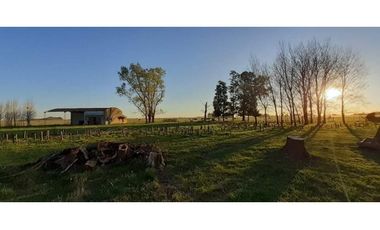 Campo en venta en Chascomus - Ranchos. 150 Has. ganaderas