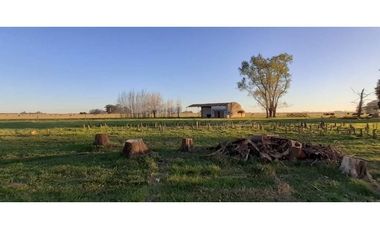 Campo en venta en Chascomus - Ranchos. 150 Has. ganaderas