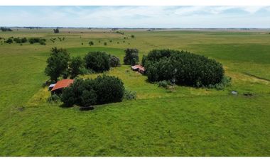 Campo en venta en Chascomus - Ranchos. 150 Has. ganaderas