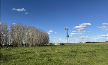Campo en venta en Chascomus - Ranchos. 150 Has. ganaderas