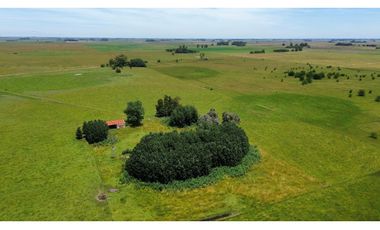 Campo en venta en Chascomus - Ranchos. 150 Has. ganaderas