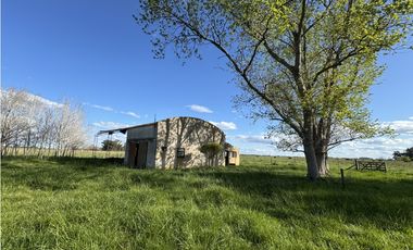 Campo en venta en Chascomus - Ranchos. 150 Has. ganaderas
