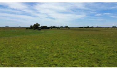 Campo en venta en Chascomus - Ranchos. 150 Has. ganaderas