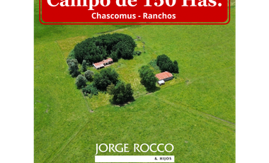 Campo en venta en Chascomus - Ranchos. 150 Has. ganaderas