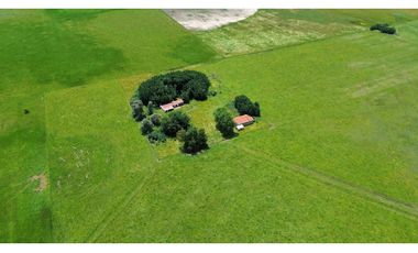 Campo en venta en Chascomus - Ranchos. 150 Has. ganaderas