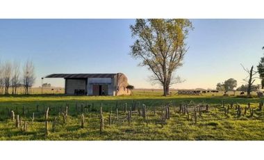 Campo en venta en Chascomus - Ranchos. 150 Has. ganaderas