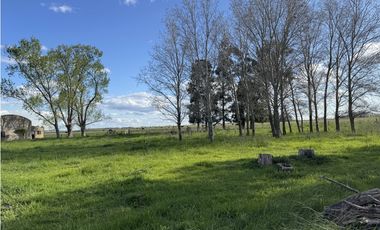 Campo en venta en Chascomus - Ranchos. 150 Has. ganaderas