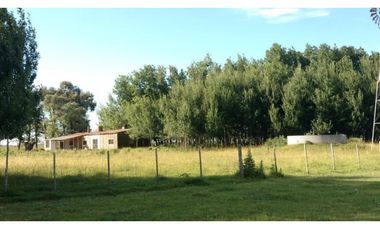 Campo en venta en Chascomus - Ranchos. 150 Has. ganaderas