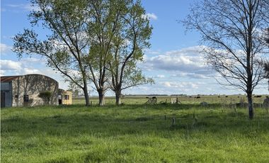 Campo en venta en Chascomus - Ranchos. 150 Has. ganaderas