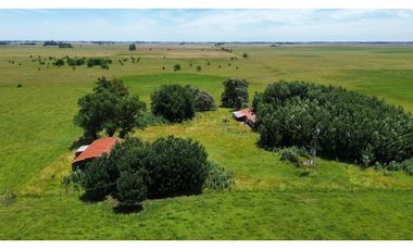 Campo en venta en Chascomus - Ranchos. 150 Has. ganaderas