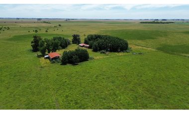Campo en venta en Chascomus - Ranchos. 150 Has. ganaderas