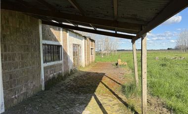 Campo en venta en Chascomus - Ranchos. 150 Has. ganaderas