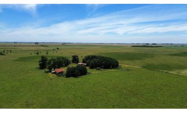 Campo en venta en Chascomus - Ranchos. 150 Has. ganaderas