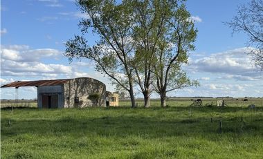 Campo en venta en Chascomus - Ranchos. 150 Has. ganaderas