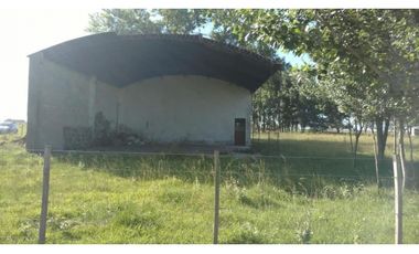 Campo en venta en Chascomus - Ranchos. 150 Has. ganaderas