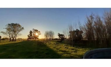 Campo en venta en Chascomus - Ranchos. 150 Has. ganaderas