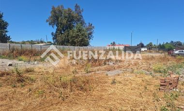 Sitio en Arriendo en Oliveto Lonque Sur