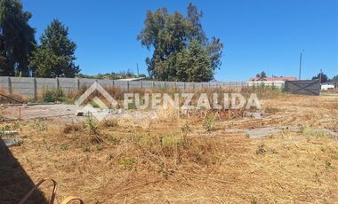 Sitio en Arriendo en Oliveto Lonque Sur