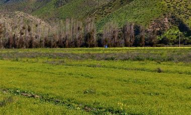 Parcela en Venta en Marquesa, Valle Del Elquí