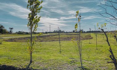 Terreno en Las Fincas de Ibarlucea con 400m²