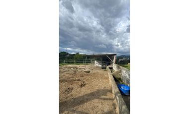 FINCA EN VENTA VIA PEREIRA - ARMENIA