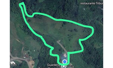 FINCA EN VENTA VIA PEREIRA - ARMENIA