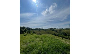 LOTE EN VENTA CERRITOS PEREIRA