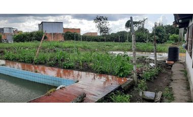 LOTE EN VENTA MONTENEGRO QUINDIO