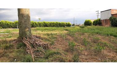 LOTE EN VENTA MONTENEGRO QUINDIO