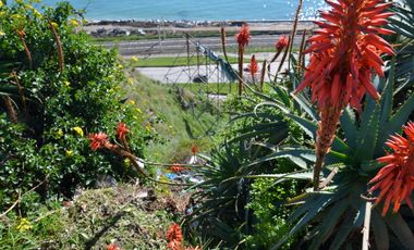 VENTA TERRENO - SITIO 1000MTS Valparaíso