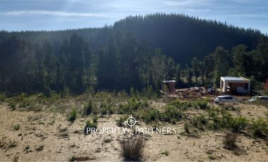 Terreno en Pingueral en Valle del Río