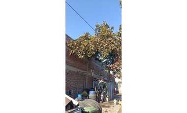 Inversión Ideal en Terreno Comercial de San Miguel