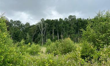 VENTA DE CASA EN LOS LAURELES SECTOR CUNCO