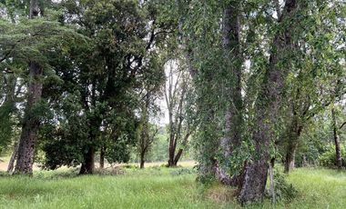 VENTA DE CASA EN LOS LAURELES SECTOR CUNCO