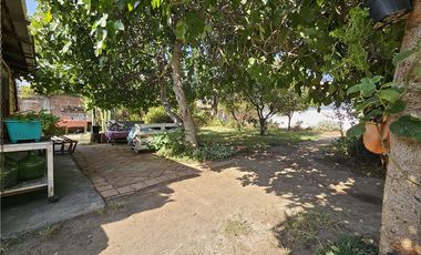 Hermoso jardin, arboles frutales - Metro Trinidad