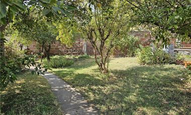 Hermoso jardin, arboles frutales - Metro Trinidad