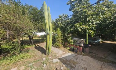 Hermoso jardin, arboles frutales - Metro Trinidad