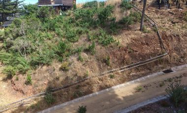 Vive Cahuil entre laguna y mar