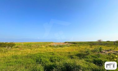 Terrenos Habitacionales y Comerciales en venta a pie del lago de Chapala