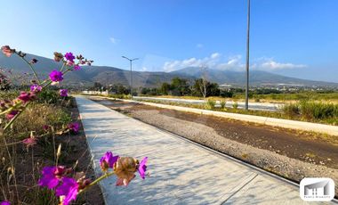 Terrenos Habitacionales y Comerciales en venta a pie del lago de Chapala