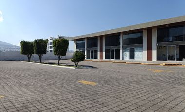 LOCALES COMERCIALES EN RENTA PARA SHOWROOM EN CENTRO SUR,  QUERÉTARO