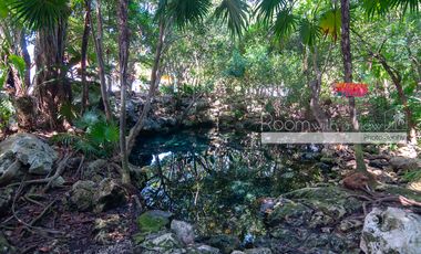 Calle Cuba 2 recamara