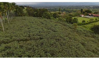 Lote rural en venta Montenegro Quindío